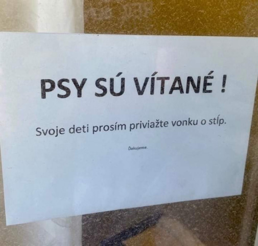 Mládež, tys' nositeľkou rána