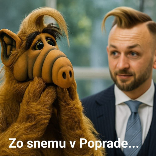 Príspevok 224823