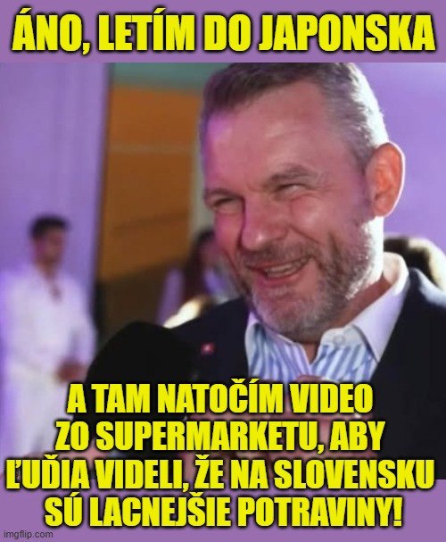 Príspevok 228194